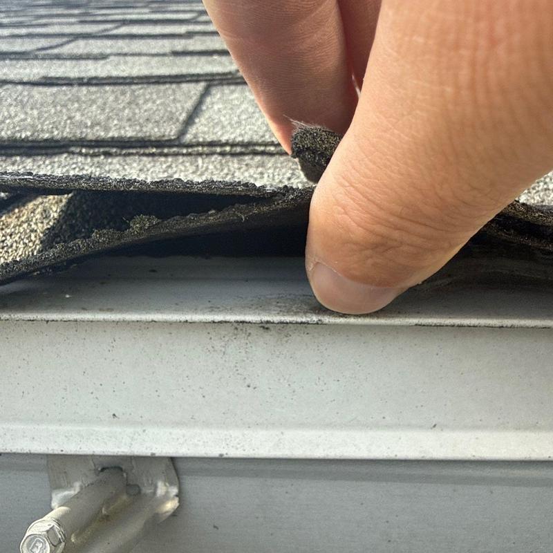 Roof shingles lifted showing edge of metal flashing