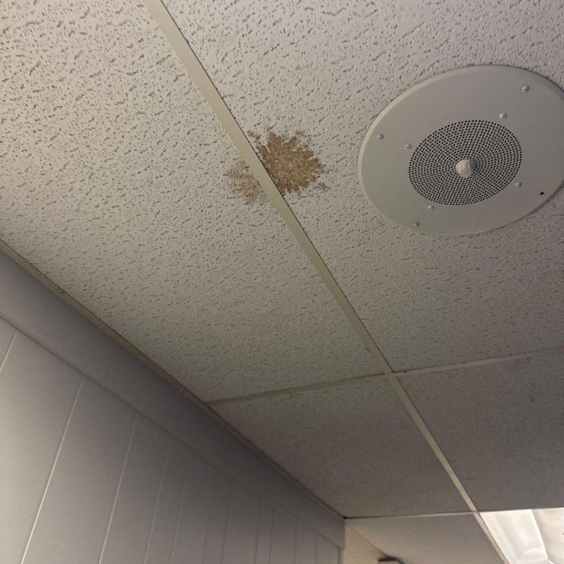 Acoustic ceiling tile with water stain and speaker panel