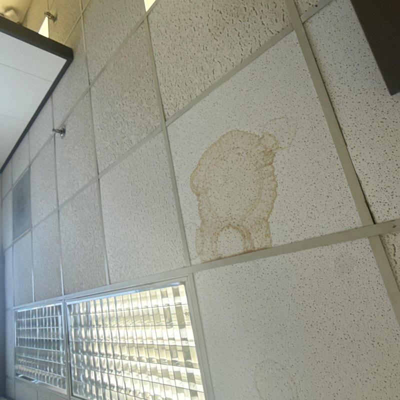Ceiling tile with water stain and discoloration