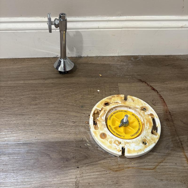 Toilet flange and shut off valve on hardwood floor