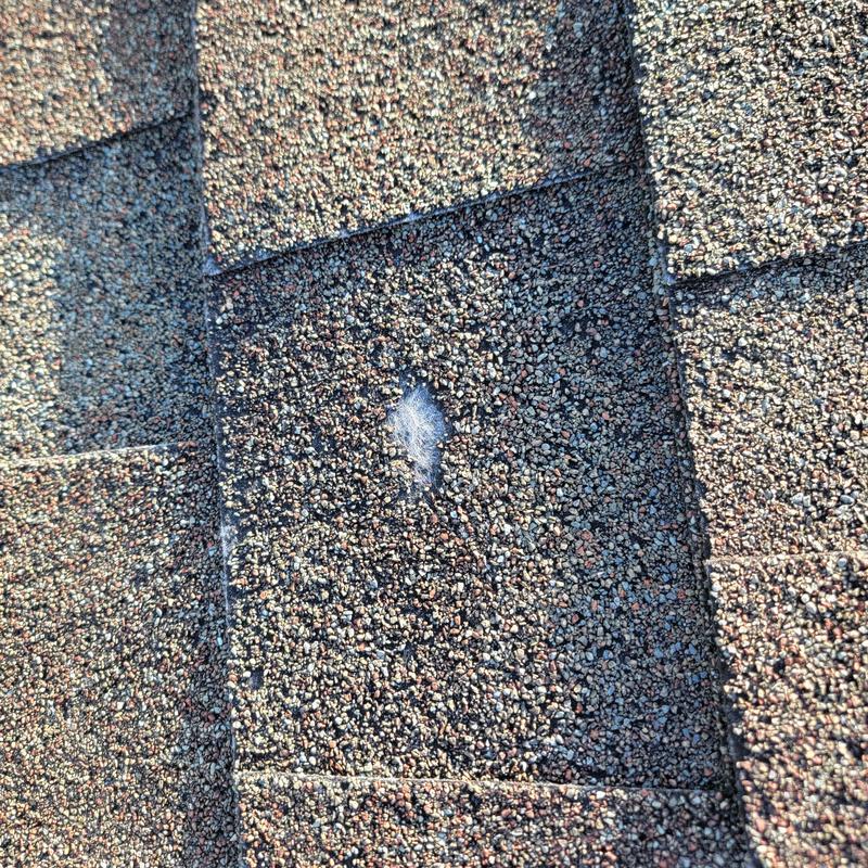 Asphalt shingle roof with hail damage and wear Asphalt shingle roof with hail damage and wear