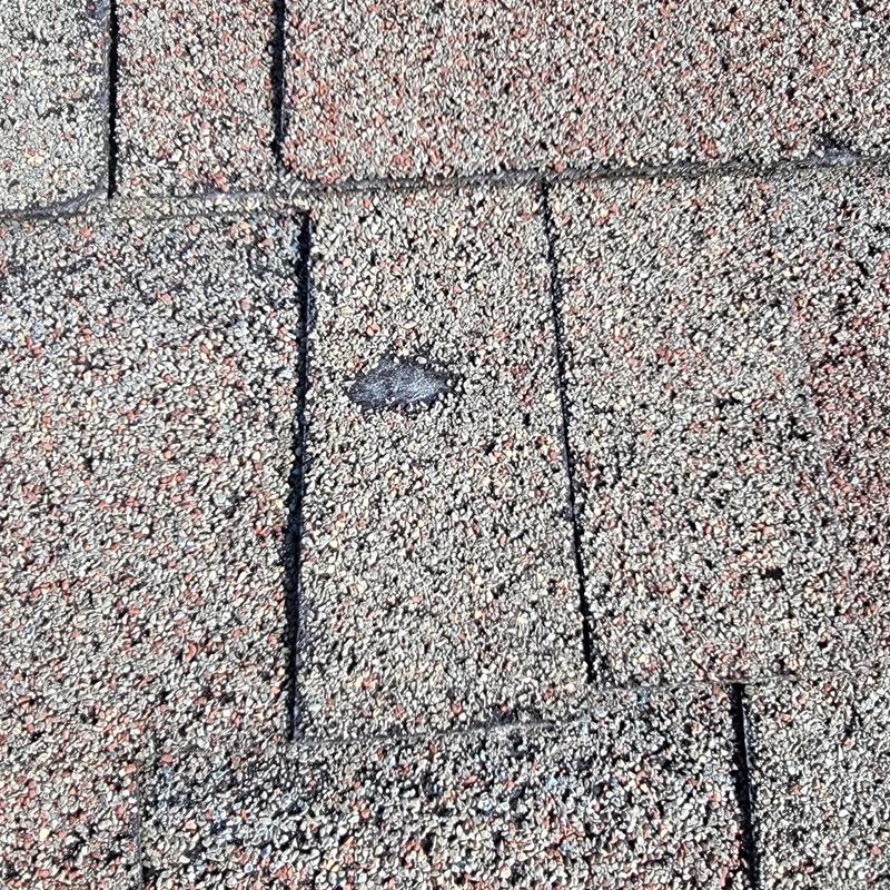 CertainTeed shingles with hail damage and wear CertainTeed shingles with hail damage and wear
