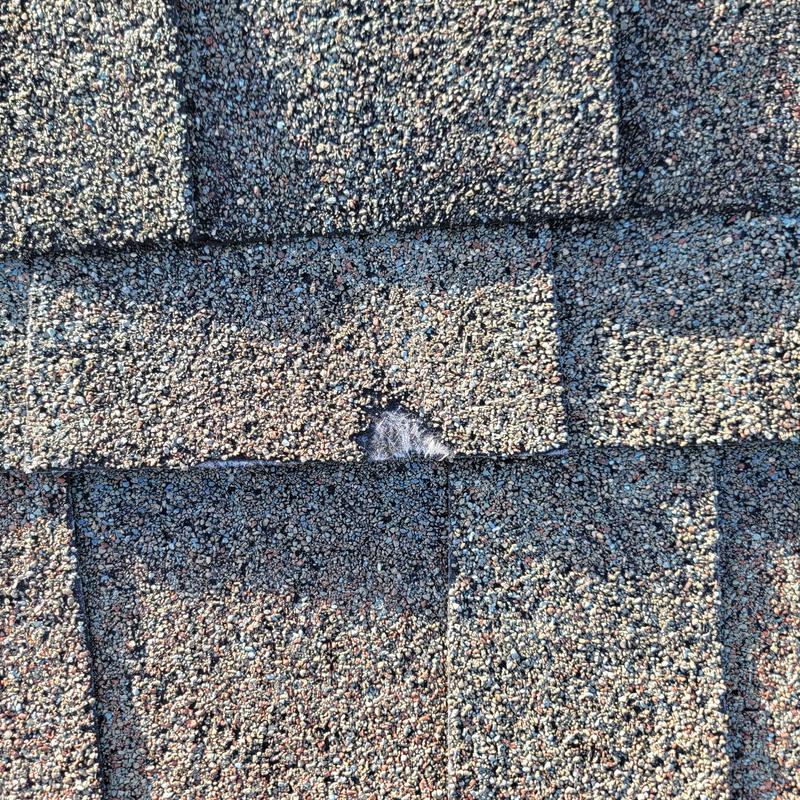 Weatherwood CertainTeed roof shingle hail damage close-up Weatherwood CertainTeed roof shingle hail damage close-up