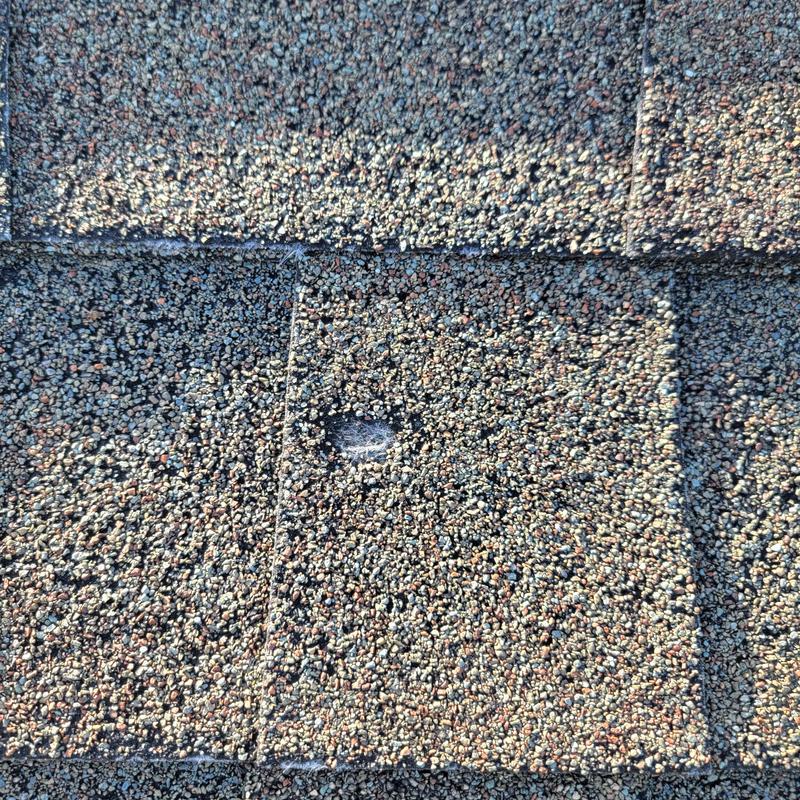 Hail-damaged CertainTeed weatherwood roofing shingle close-up Hail-damaged CertainTeed weatherwood roofing shingle close-up