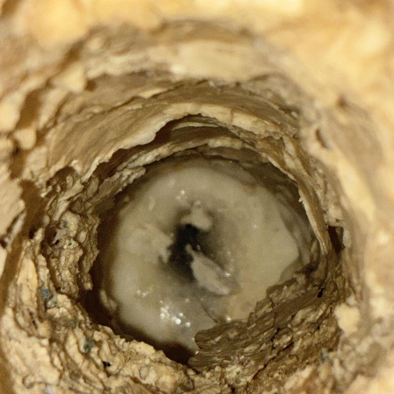 Shower drain buildup clog obstructing water flow