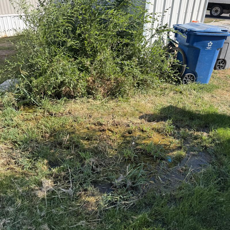 Ground water leak causing yard dampness near house Ground water leak causing yard dampness near house