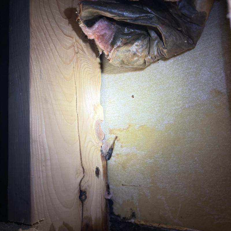 Cast-iron shower base leak with insulation damage