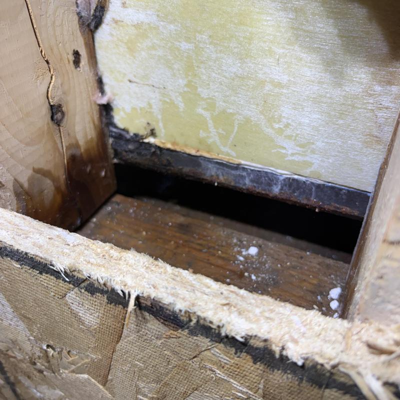 Cast-iron shower base leak behind opened wall cavity