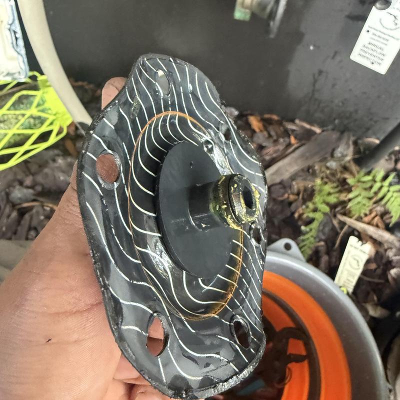 Backflow valve diaphragm with sealing gasket and bolt