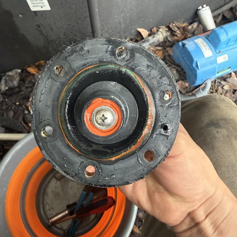 Backflow valve component held during repair service