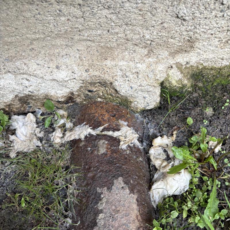 Main sewer line with rust and debris near foundation Main sewer line with rust and debris near foundation