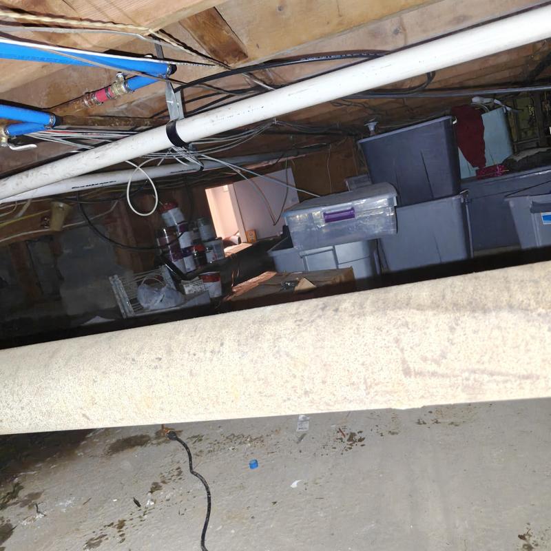 Laundry drain line and water pipes in crawlspace Laundry drain line and water pipes in crawlspace