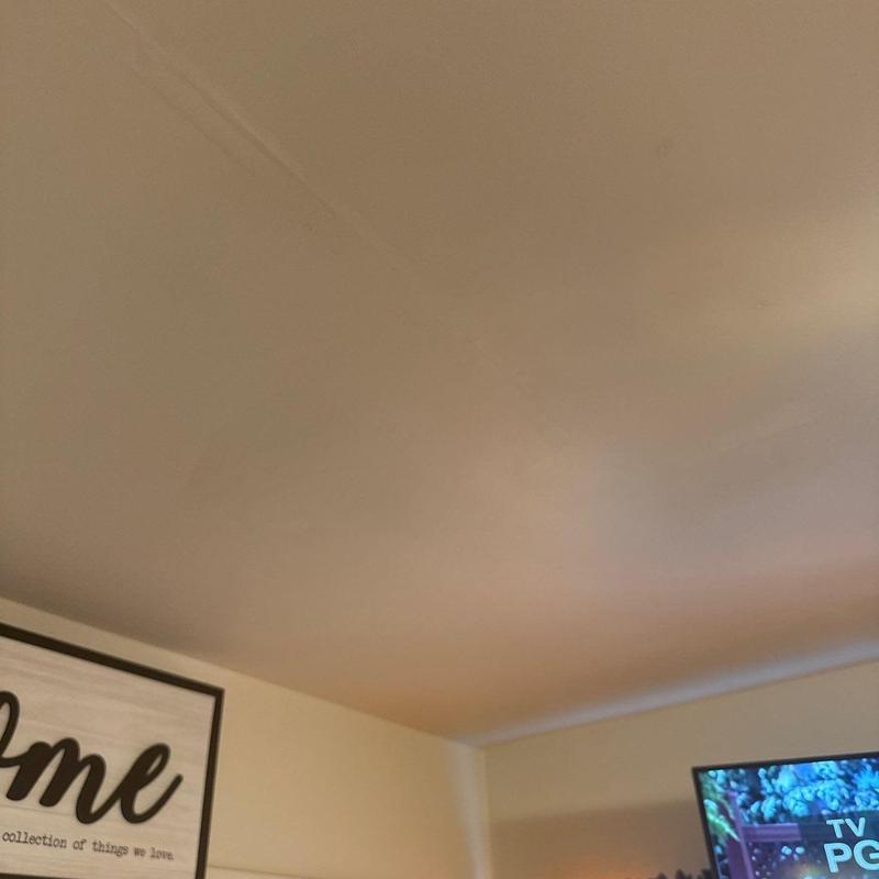 Ceiling drywall with water damage stains