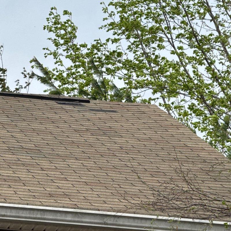 Asphalt roof shingles with visible hail damage and lifting