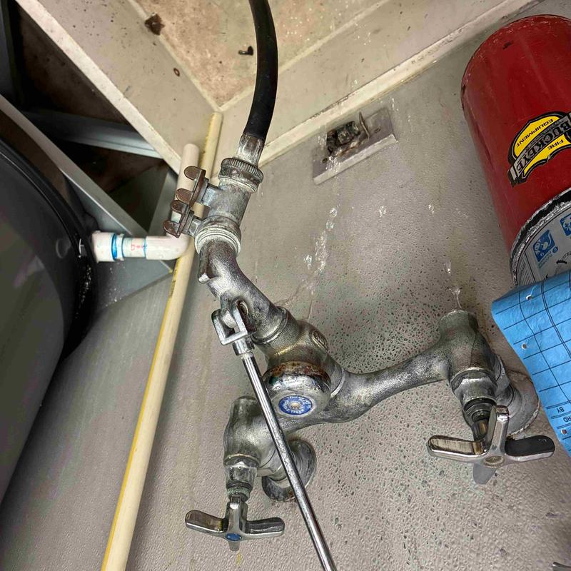 Sloan faucet with hose and dual valve handles