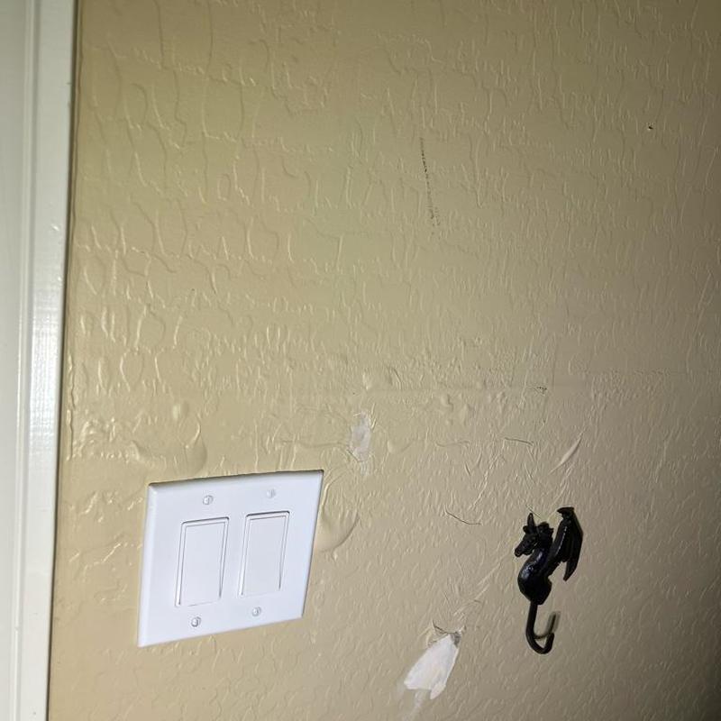 Wall surface with paint damage near light switch and hook