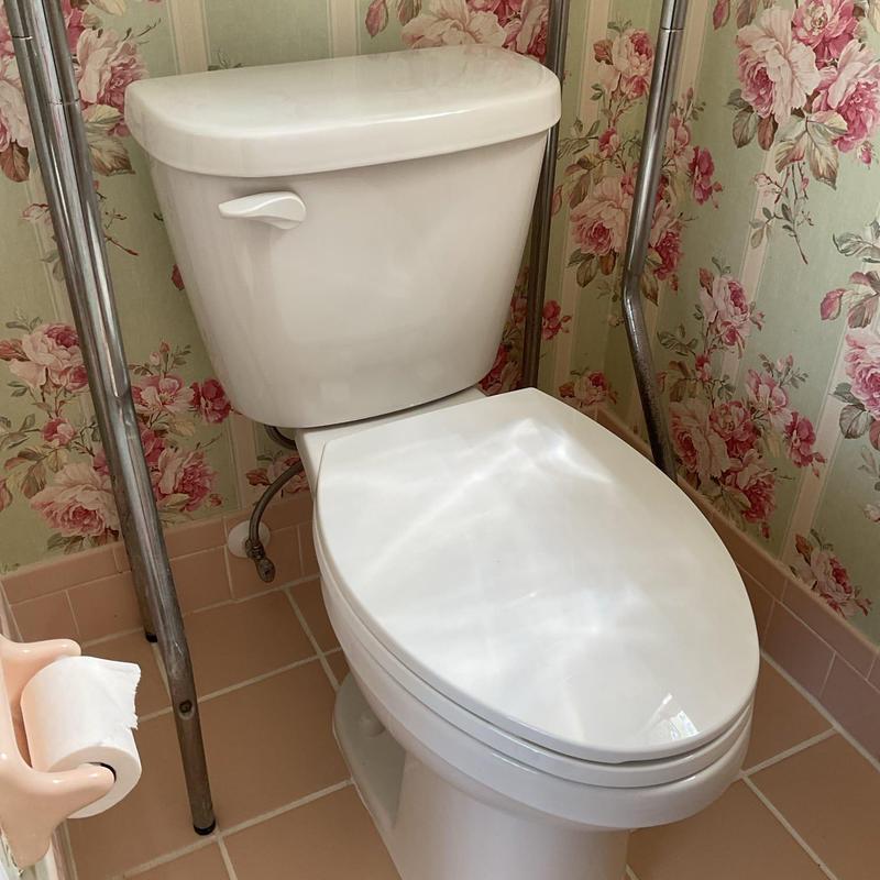 Gerber Maxwell ADA toilet with new flange installed