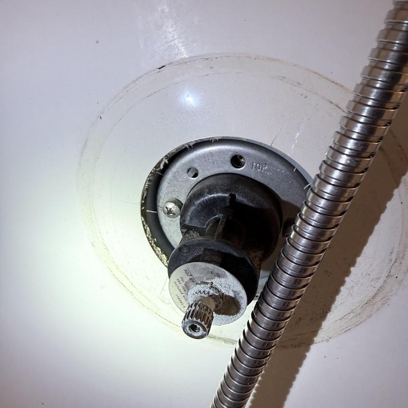 Shower valve assembly with exposed stem and hose Shower valve assembly with exposed stem and hose