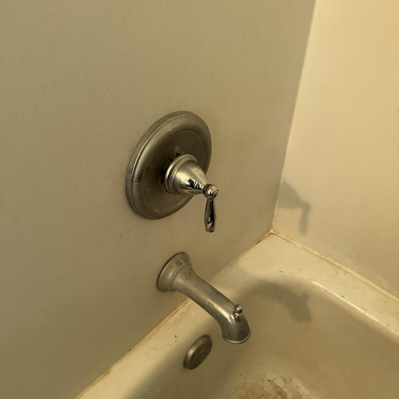 Shower cartridge and tub spout assembly in bathtub Shower cartridge and tub spout assembly in bathtub