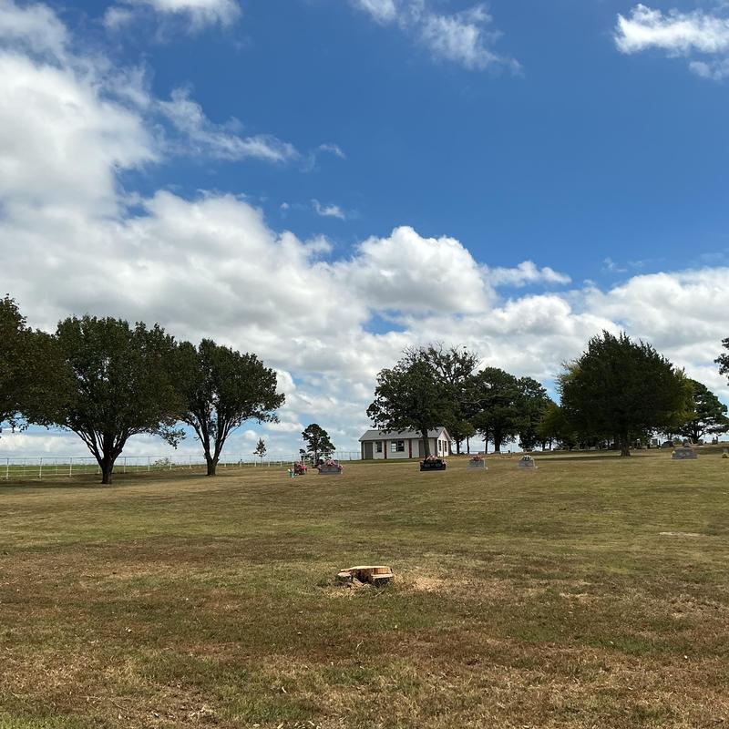 Dead tree stump removal in cemetery grounds