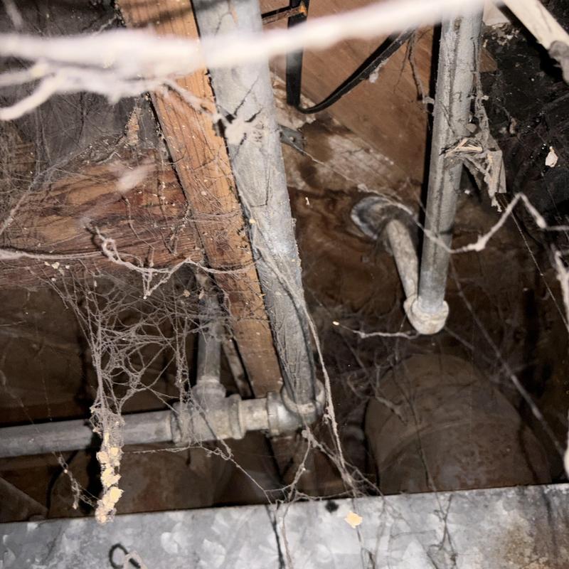 Galvanized water supply pipes in crawlspace with cobwebs Galvanized water supply pipes in crawlspace with cobwebs