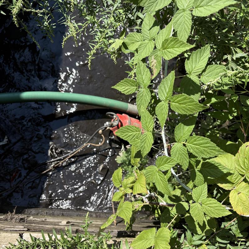 Water pump with green hose in overgrown area Water pump with green hose in overgrown area