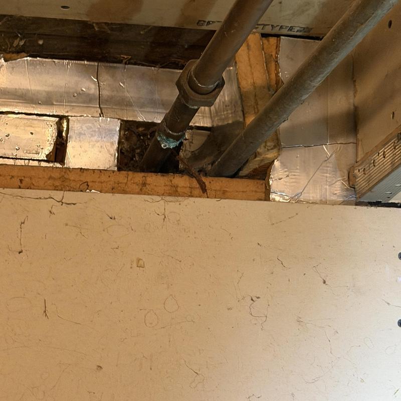 Copper water pipe with corrosion in ceiling cavity