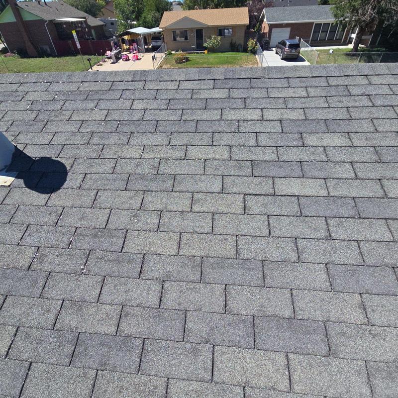 Asphalt shingle roof with visible wear and damage Asphalt shingle roof with visible wear and damage