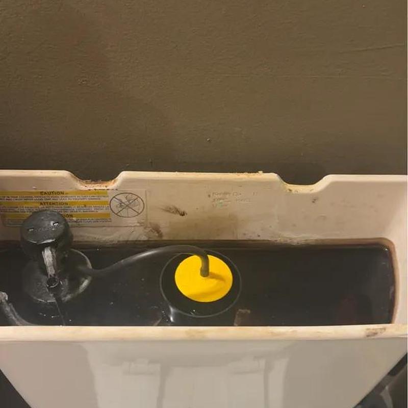 Toilet flush valve seal inside tank maintenance