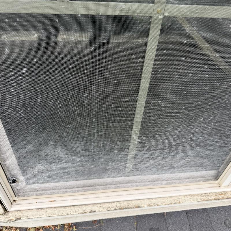 Window screen with visible damage and dirt buildup Window screen with visible damage and dirt buildup