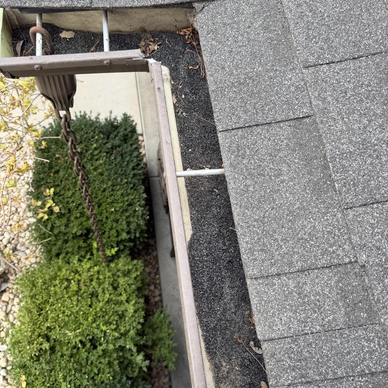 Asphalt shingle roof and gutter inspection with debris buildup Asphalt shingle roof and gutter inspection with debris buildup