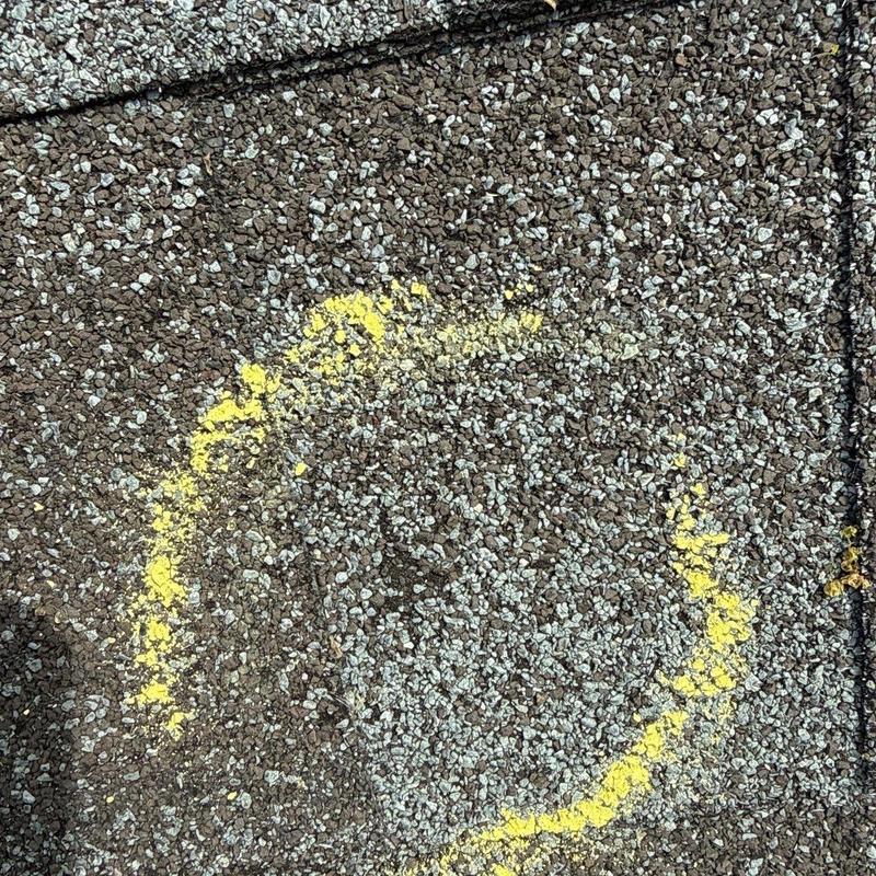 Roof shingles with hail damage circled in yellow