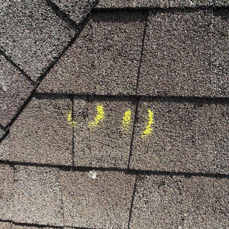 Asphalt roof shingles with hail damage marked in yellow
