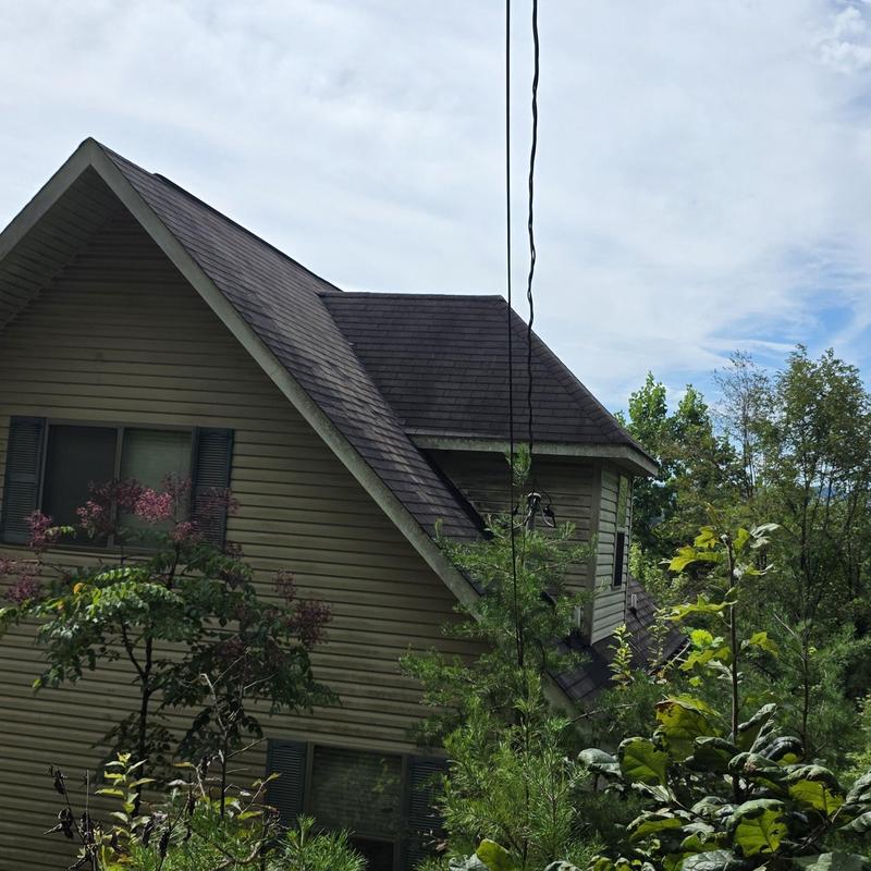 Asphalt shingle roof and siding on residential home