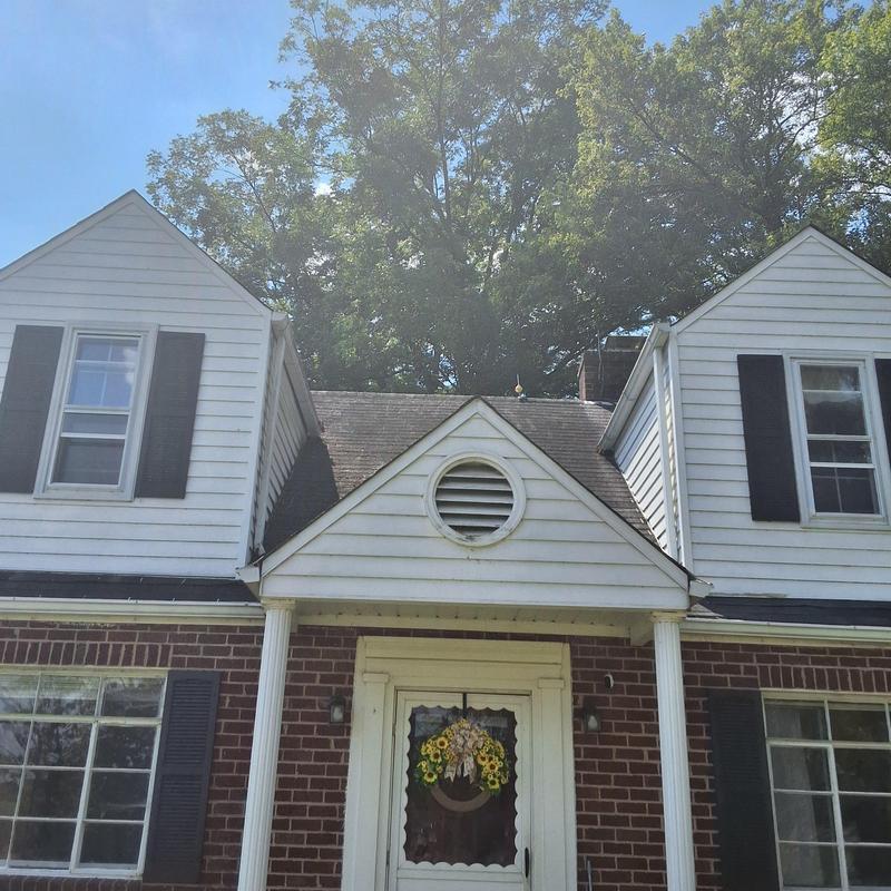 Asphalt shingle roof with leak and replacement needs Asphalt shingle roof with leak and replacement needs
