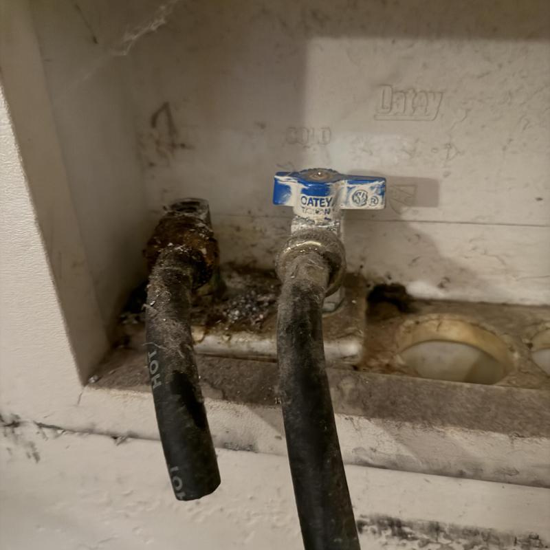 Hot and cold washer box valves with hoses in wall cavity
