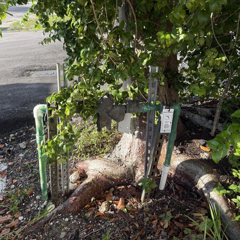 Backflow prevention device with surrounding greenery
