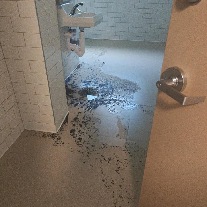 Main floor drain backup with dirty water pooling Main floor drain backup with dirty water pooling