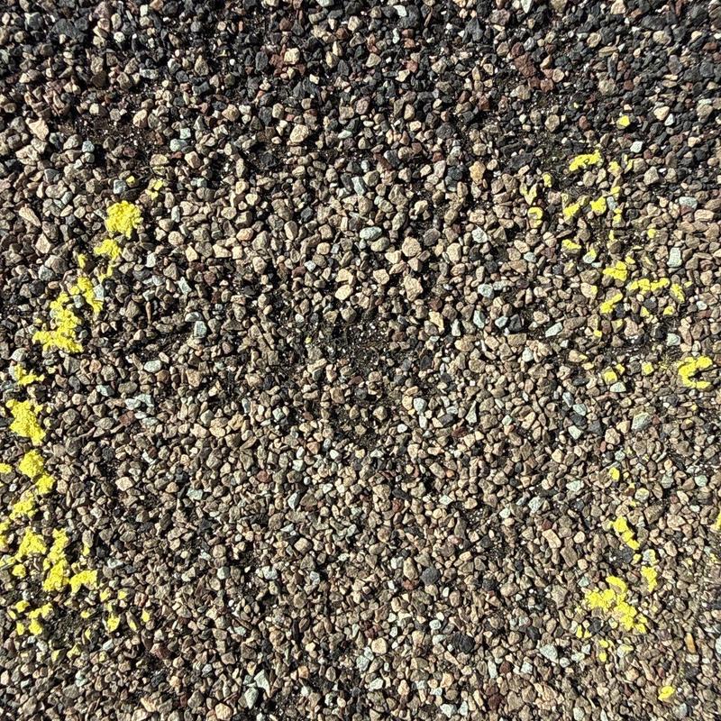 Roof shingles with hail damage circled in yellow paint