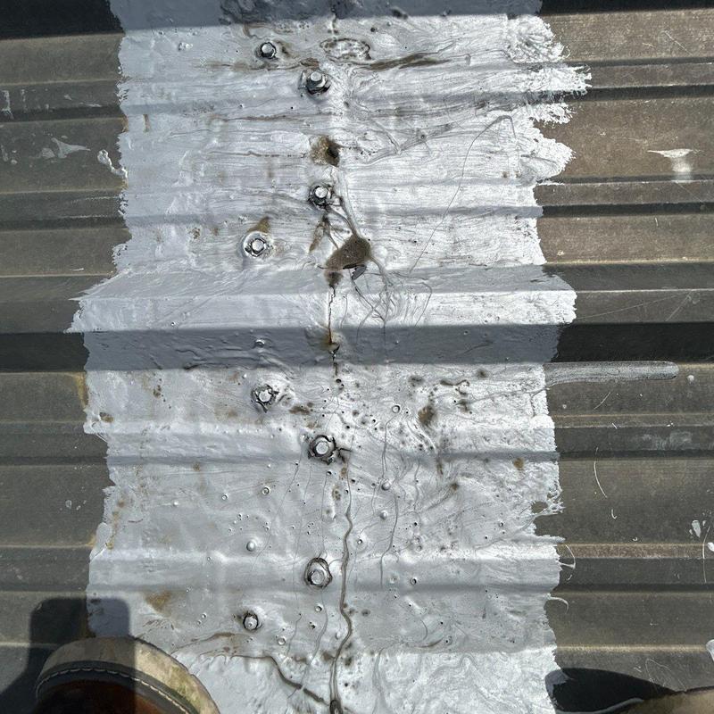 Metal roof panel with sealant and fasteners