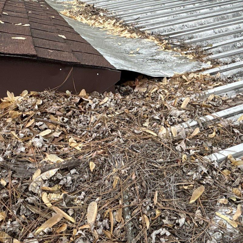 Roof gutter clogged with leaves and debris buildup