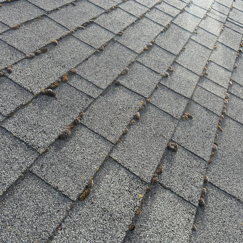 Asphalt shingle roof with moss buildup and wear