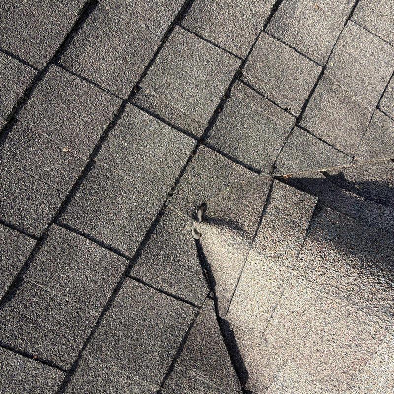Asphalt shingles with hail damage and granule loss