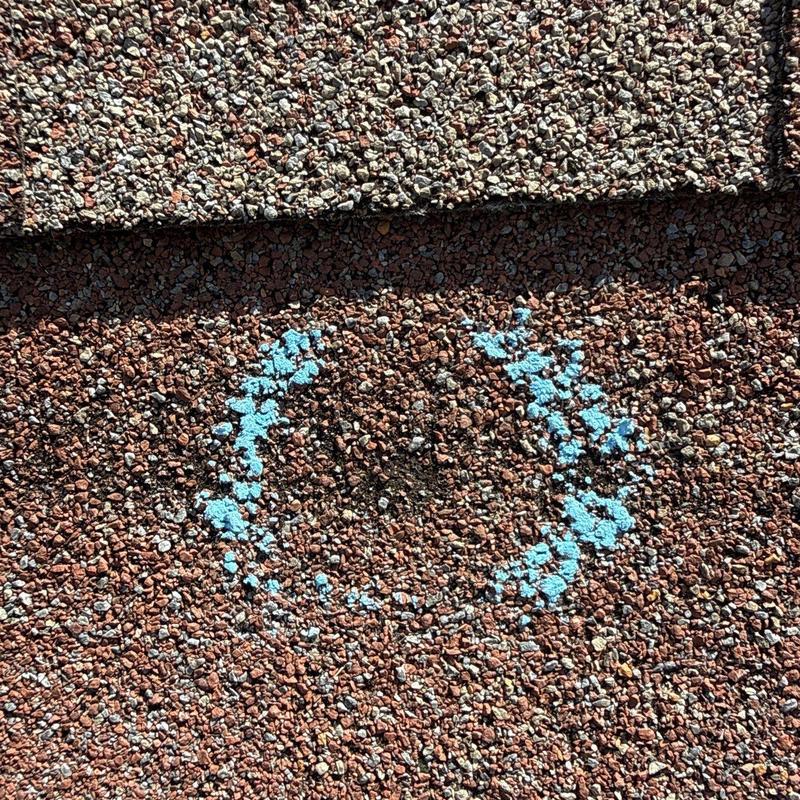 Roof shingles showing hail damage marked with blue spray paint