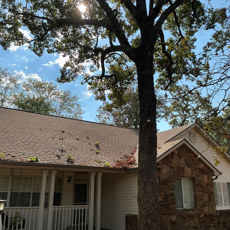 Tree canopy trimming above residential roof in Stuart, OK