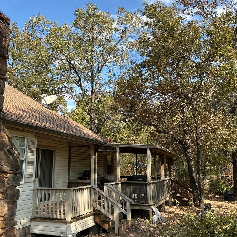 Trees removal and trimming near wooden house porch