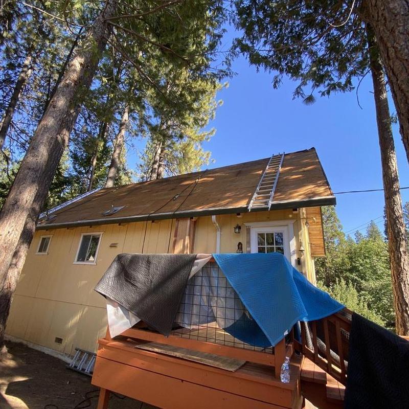 Asphalt roof sheathing replacement on cabin in forest