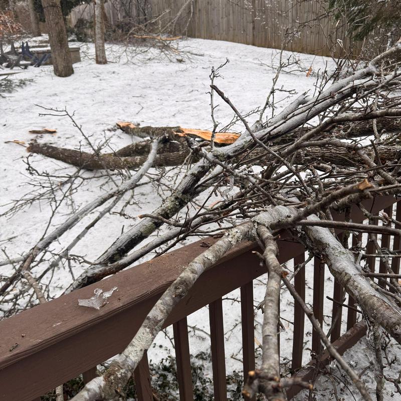 Tree branches broken and resting on wooden deck railing