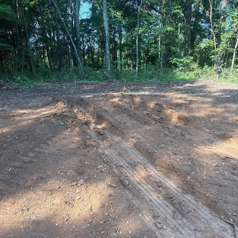 Cleared land with tire tracks near wooded area