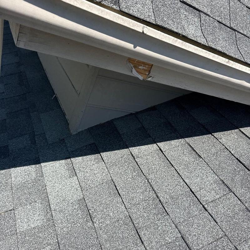 Roof shingles and damaged fascia board on roof edge